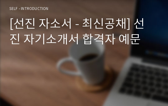 [선진 자소서 - 최신공채] 선진 자기소개서 합격자 예문