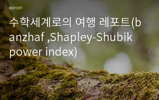 수학세계로의 여행 레포트(banzhaf ,Shapley-Shubik  power index)