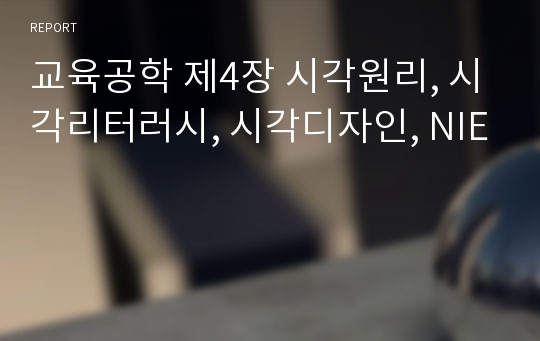 교육공학 제4장 시각원리, 시각리터러시, 시각디자인, NIE