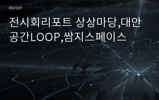 전시회리포트 상상마당,대안공간LOOP,쌈지스페이스