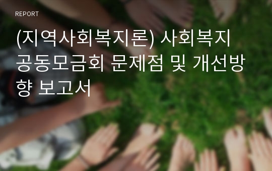 (지역사회복지론) 사회복지 공동모금회 문제점 및 개선방향 보고서