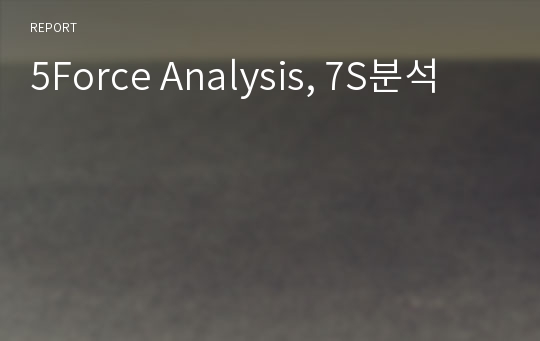 5Force Analysis, 7S분석