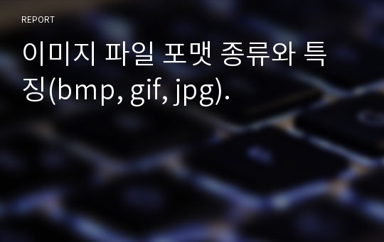 이미지 파일 포맷 종류와 특징(bmp, gif, jpg).