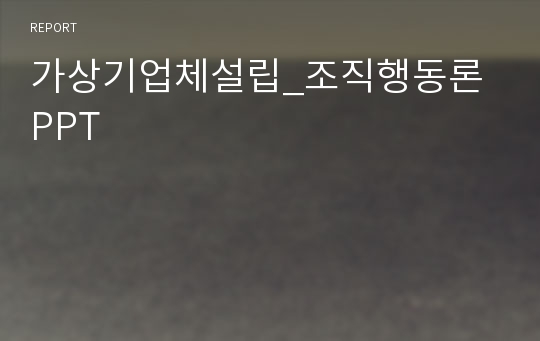 가상기업체설립_조직행동론 PPT