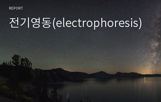전기영동(electrophoresis)