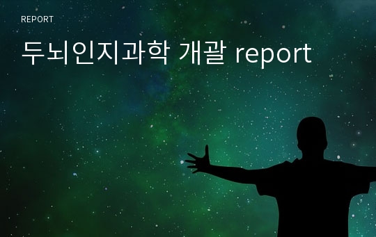 두뇌인지과학 개괄 report