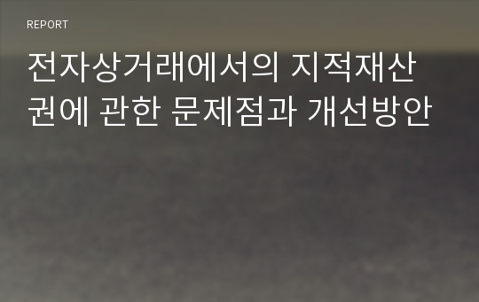 전자상거래에서의 지적재산권에 관한 문제점과 개선방안