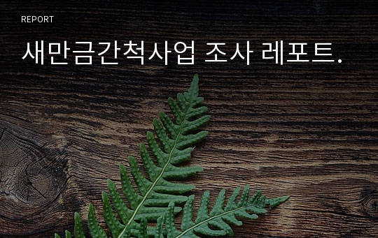 새만금간척사업 조사 레포트.