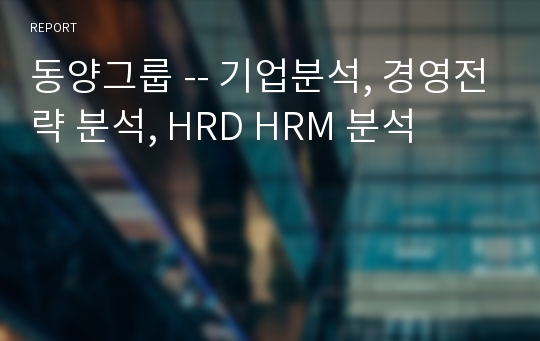 동양그룹 -- 기업분석, 경영전략 분석, HRD HRM 분석