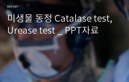 미생물 동정 Catalase test, Urease test _ PPT자료