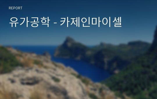 유가공학 - 카제인마이셀