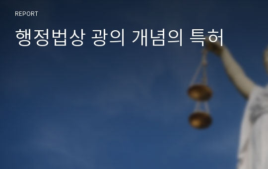 행정법상 광의 개념의 특허