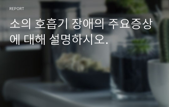 소의 호흡기 장애의 주요증상에 대해 설명하시오.