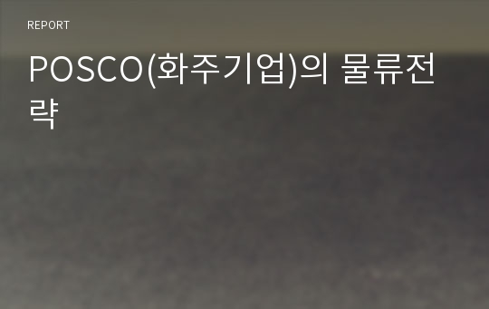 POSCO(화주기업)의 물류전략