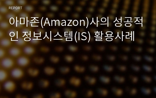 아마존(Amazon)사의 성공적인 정보시스템(IS) 활용사례