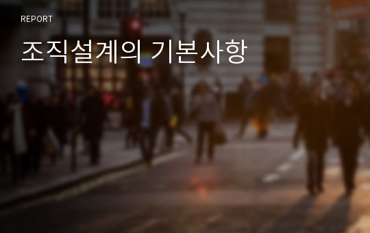 조직설계의 기본사항