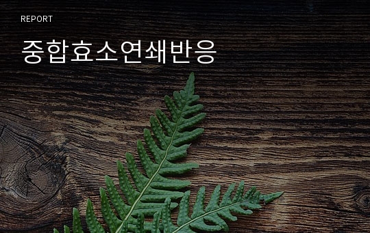 중합효소연쇄반응