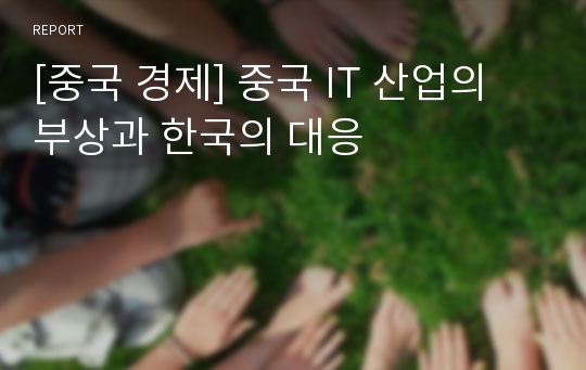 [중국 경제] 중국 IT 산업의 부상과 한국의 대응