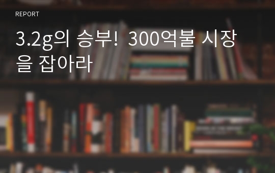 3.2g의 승부!  300억불 시장을 잡아라