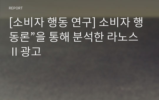 [소비자 행동 연구] 소비자 행동론”을 통해 분석한 라노스Ⅱ광고