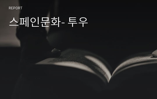 스페인문화- 투우