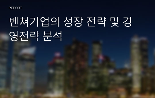 벤쳐기업의 성장 전략 및 경영전략 분석