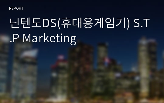 닌텐도DS(휴대용게임기) S.T.P Marketing