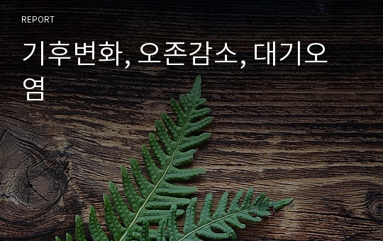 기후변화, 오존감소, 대기오염