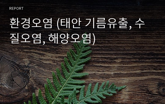 환경오염 (태안 기름유출, 수질오염, 해양오염)