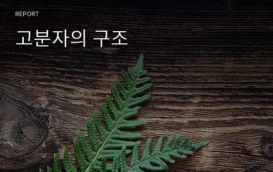 고분자의 구조