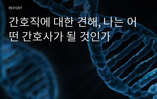 간호직에 대한 견해, 나는 어떤 간호사가 될 것인가