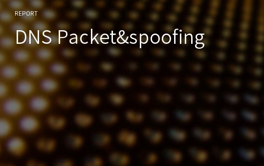 DNS Packet&amp;spoofing