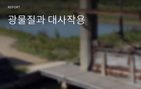 광물질과 대사작용