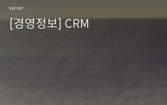 [경영정보] CRM