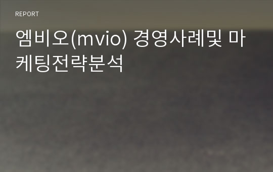 엠비오(mvio) 경영사례및 마케팅전략분석