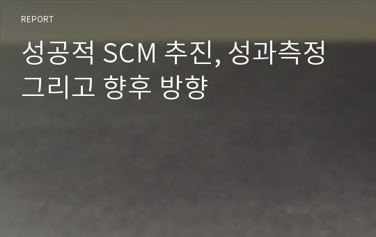 성공적 SCM 추진, 성과측정 그리고 향후 방향