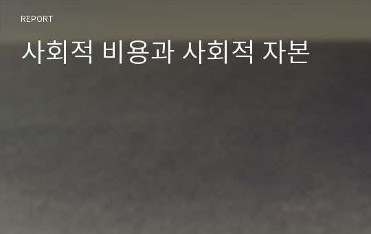 사회적 비용과 사회적 자본