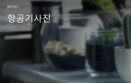 항공기사진