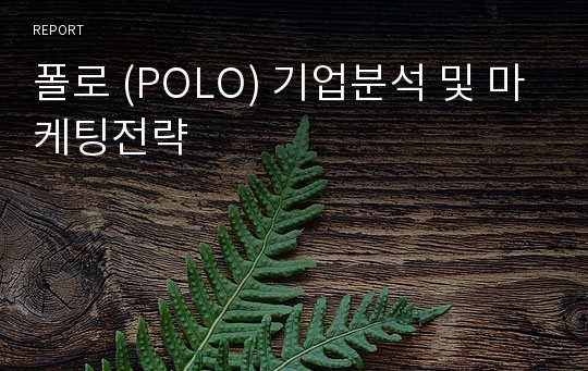 폴로 (POLO) 기업분석 및 마케팅전략