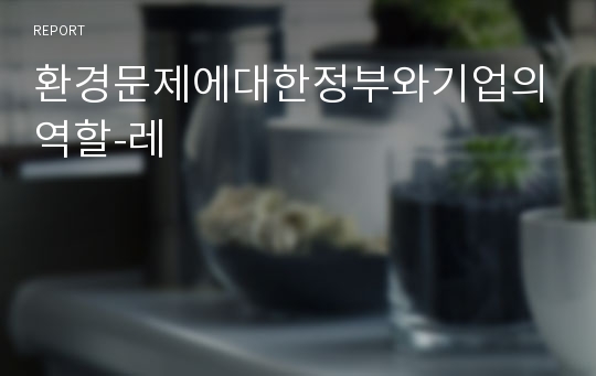 환경문제에대한정부와기업의역할-레