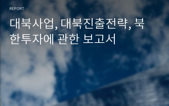 대북사업, 대북진출전략, 북한투자에 관한 보고서