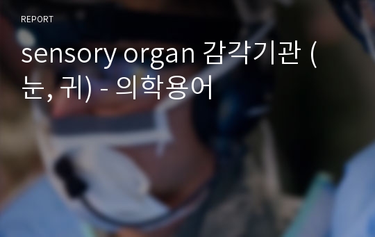 sensory organ 감각기관 (눈, 귀) - 의학용어