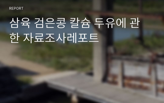 삼육 검은콩 칼슘 두유에 관한 자료조사레포트