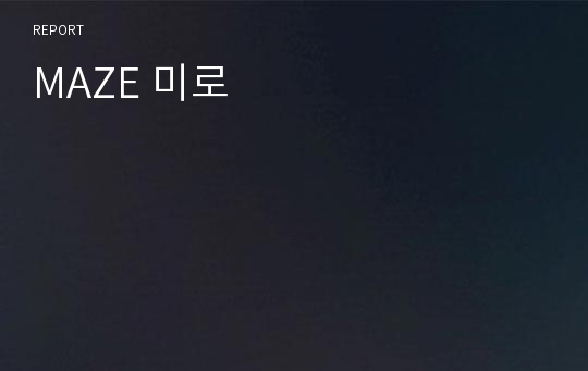 MAZE 미로