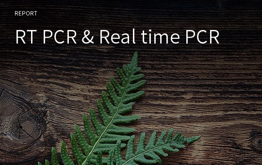 RT PCR &amp; Real time PCR