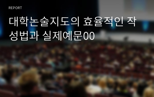 대학논술지도의 효율적인 작성법과 실제예문00