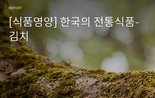 [식품영양] 한국의 전통식품-김치