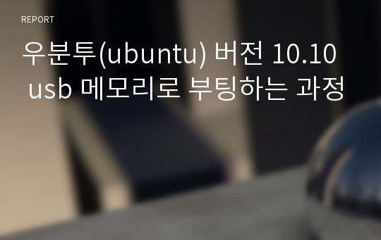 우분투(ubuntu) 버전 10.10 usb 메모리로 부팅하는 과정