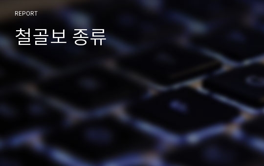 철골보 종류