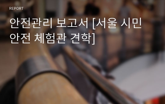 안전관리 보고서 [서울 시민 안전 체험관 견학]